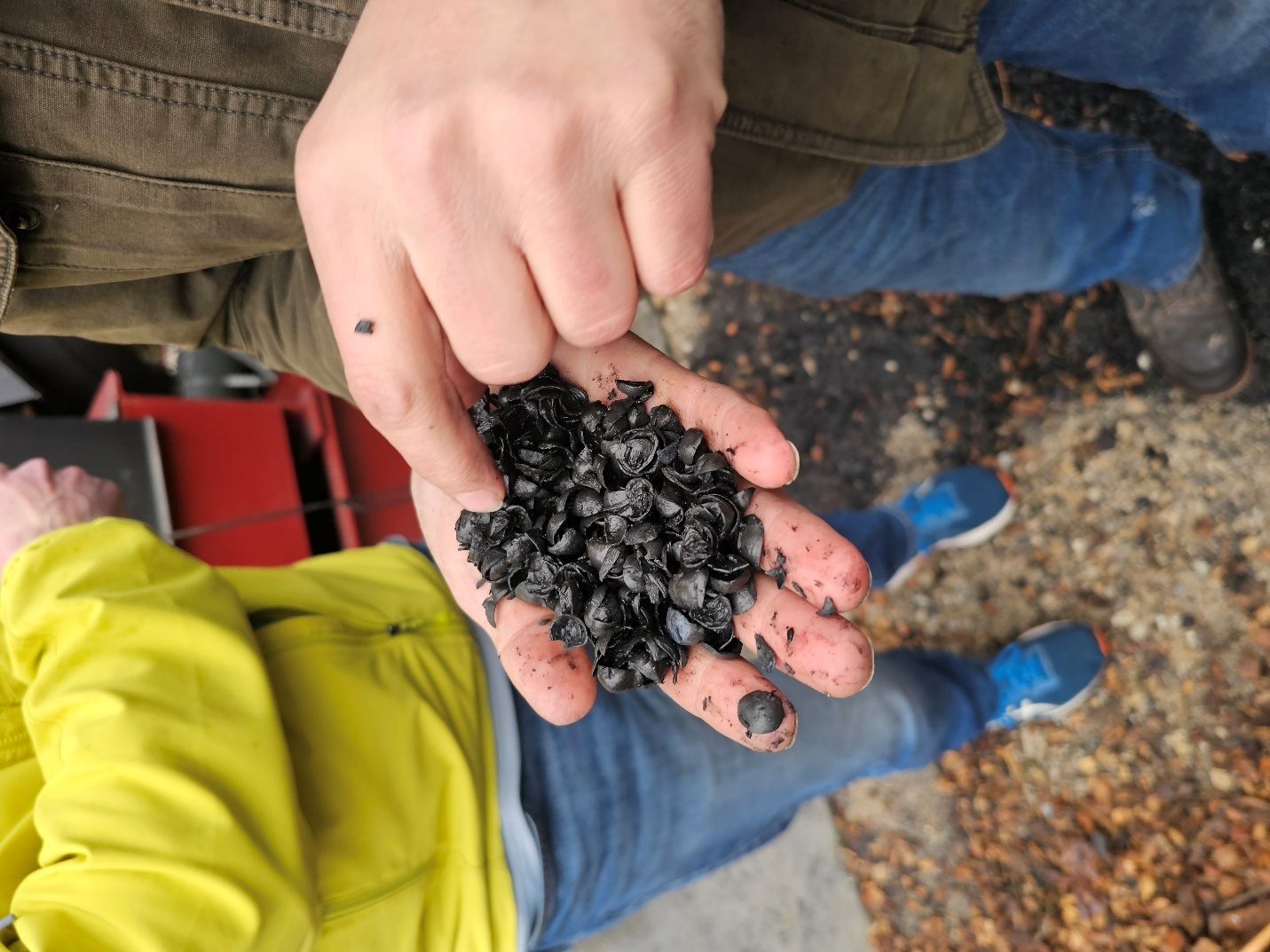 Finished biochar
